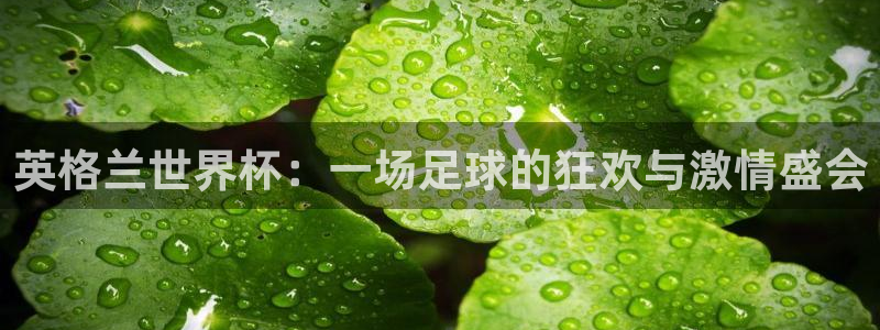 2026足球世界杯：英格兰世界杯：一场足球的狂欢与激情盛会
