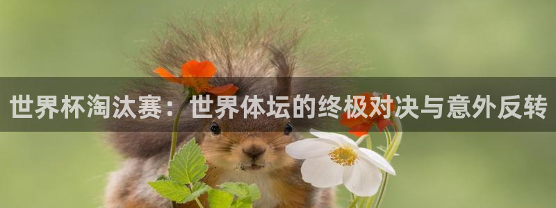 世界杯 直播：世界杯淘汰赛：世界体坛的终极对决与意外反转