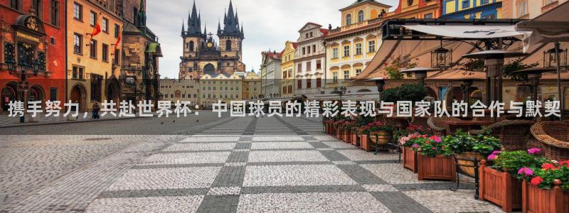 世界杯决赛预测：携手努力，共赴世界杯：中国球员的精彩表现与国家队的合作与默契