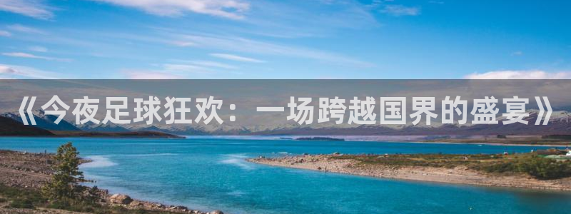 世界杯葡萄牙赛程：《今夜足球狂欢：一场跨越国界的盛宴》