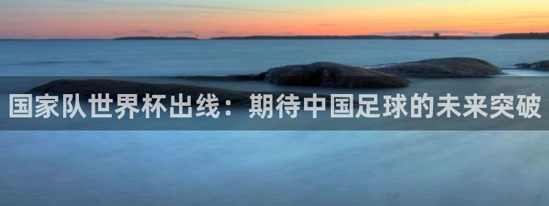 世界杯足球比赛：国家队世界杯出线：期待中国足球的未来突破