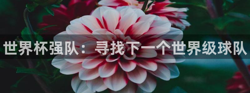 世界杯48支球队赛制：世界杯强队：寻找下一个世界级球队