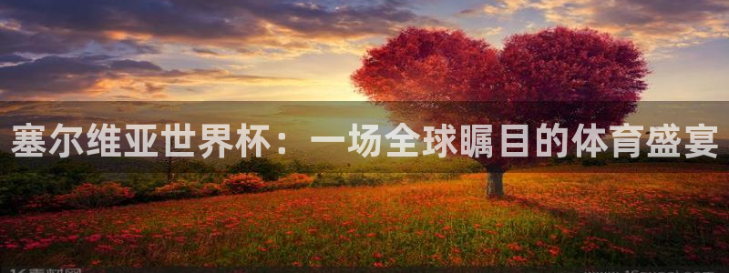 世界杯 2026：塞尔维亚世界杯：一场全球瞩目的体育盛宴