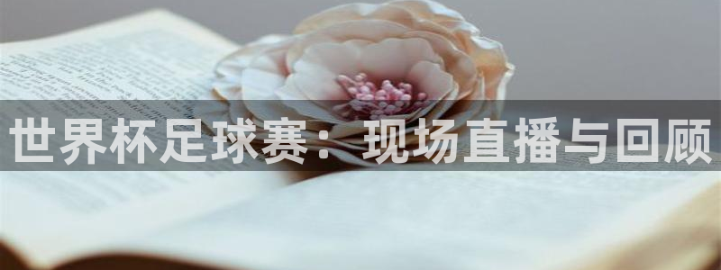 世界杯球队：世界杯足球赛：现场直播与回顾