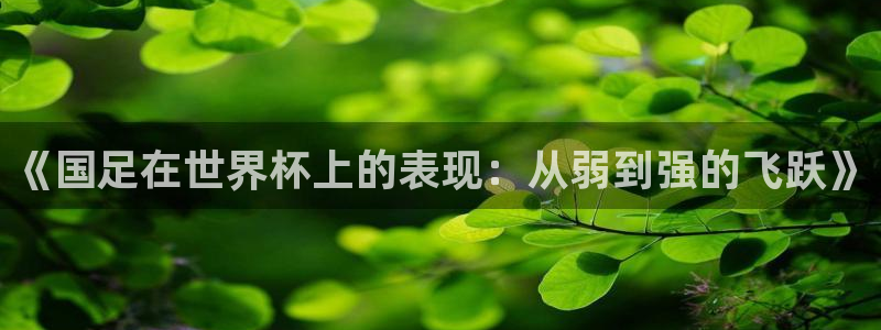 世界杯决赛预测：《国足在世界杯上的表现：从弱到强的飞跃》