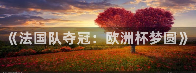 世界杯预选赛欧洲区赛程：《法国队夺冠：欧洲杯梦圆》